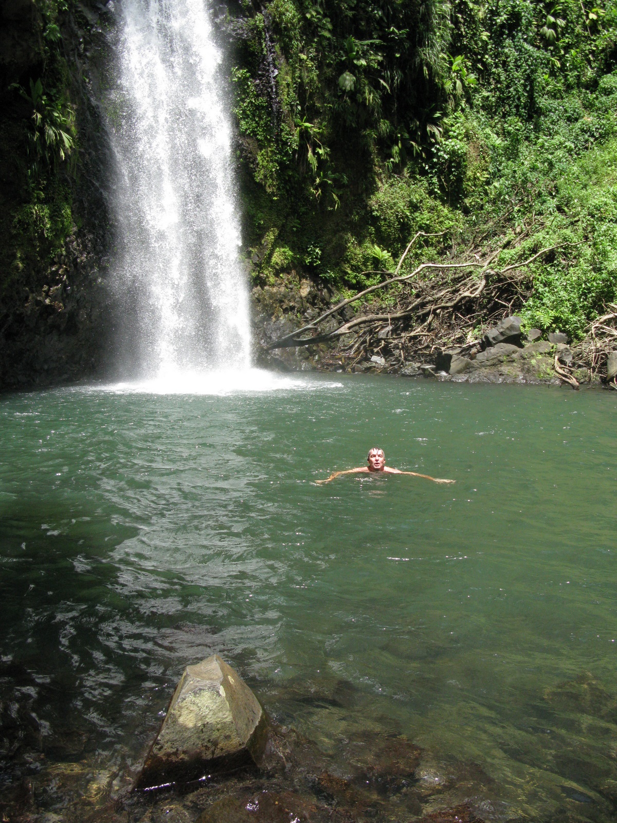 Martinique/Island and People/Waterfall at Source Didier